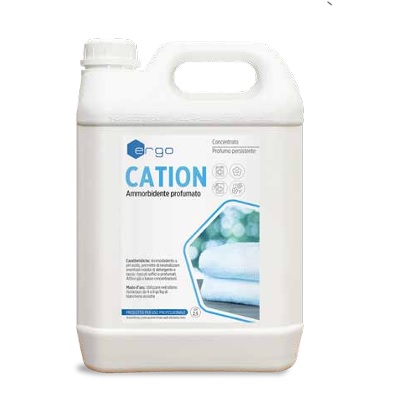 [SHCERG598D] DET/KD ERGO CATION AMMORBIDENTE KG5 CTX4PZ      